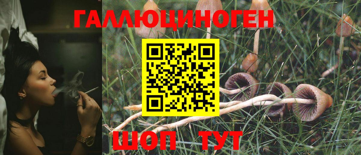 Владимир  Галлюциногенные грибы прущие грибы  Вход с VPN 